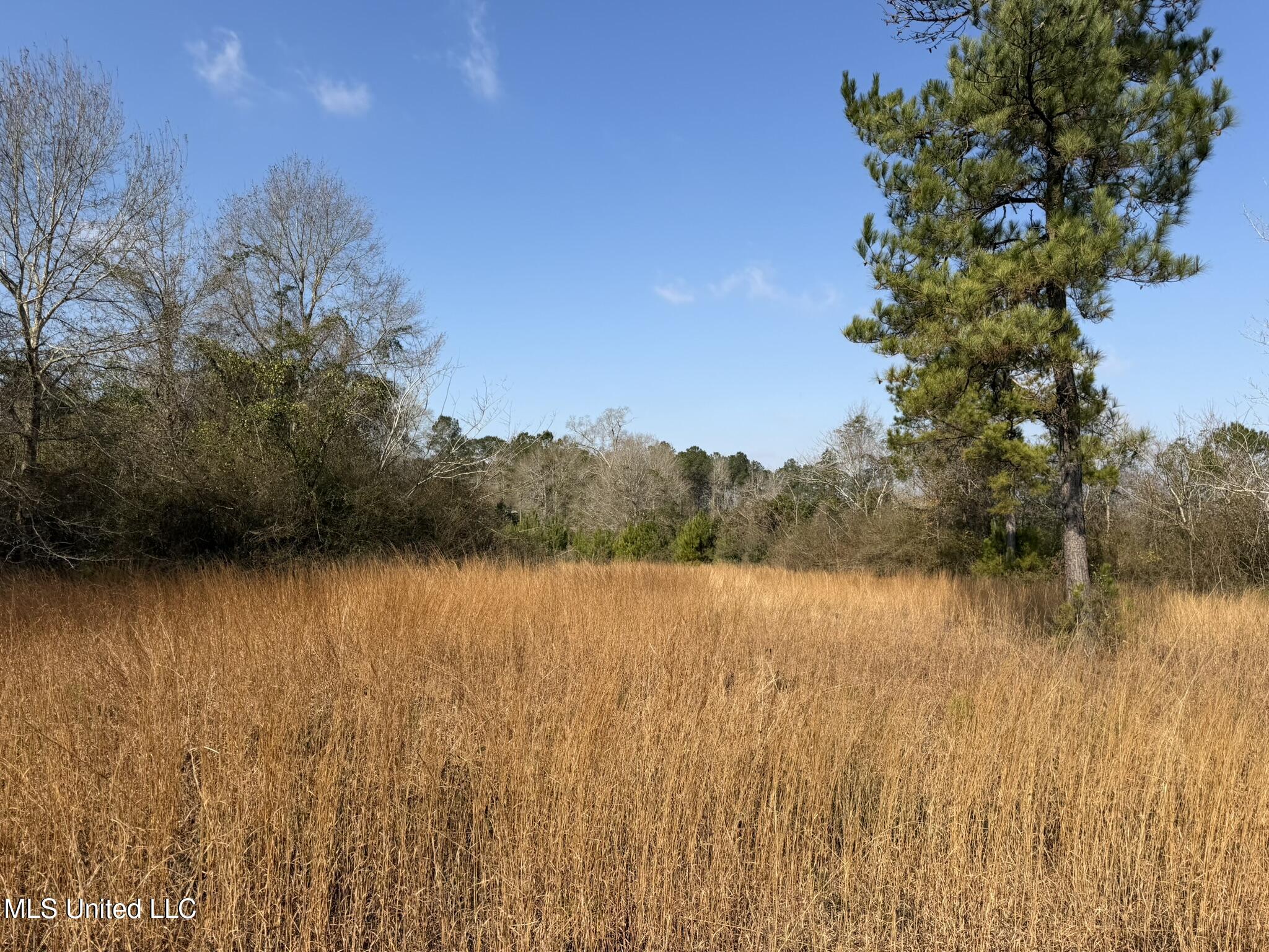 Johnson Road Sandy Hook, MS 39478 - Photo 2 of 28 EEA049D3-4598-4506-8DFF-E10E6AC79808_1_1