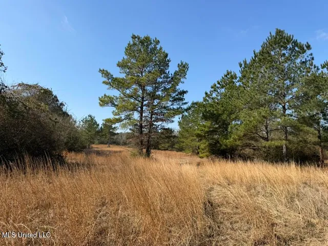 $144,300 | Johnson Road, Sandy Hook, MS 39478