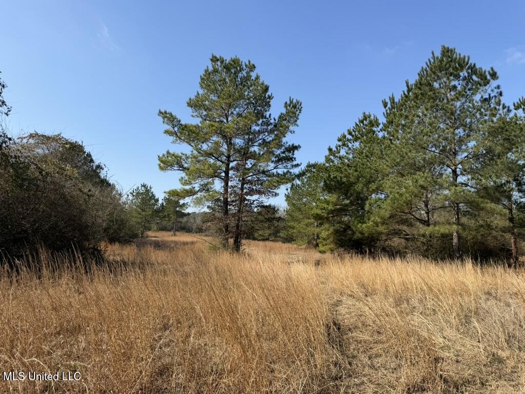 Johnson Road Sandy Hook, MS 39478 - Photo 21 of 28 C8384675-3F78-45F2-BAD6-DB48E0794225_1_1