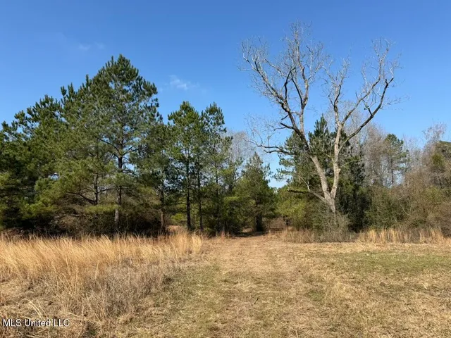 $144,300 | Johnson Road, Sandy Hook, MS 39478