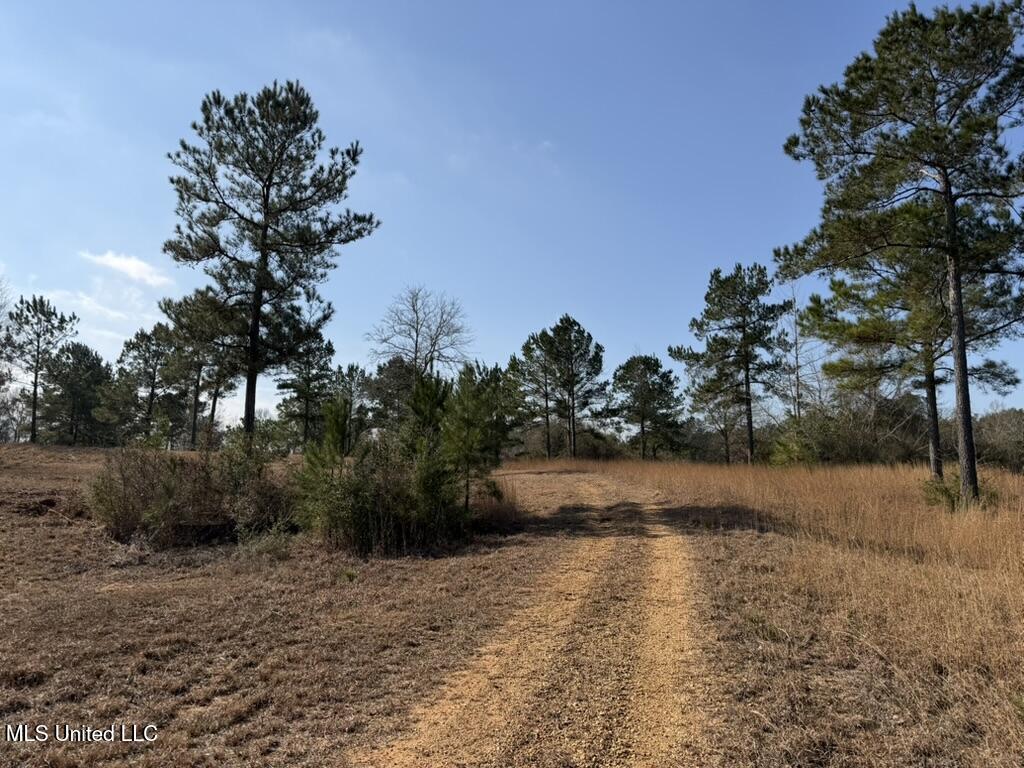 Johnson Road Sandy Hook, MS 39478 - Photo 24 of 28 5F1A1F4D-A875-4CBF-BC71-3248ED716EC5_1_1