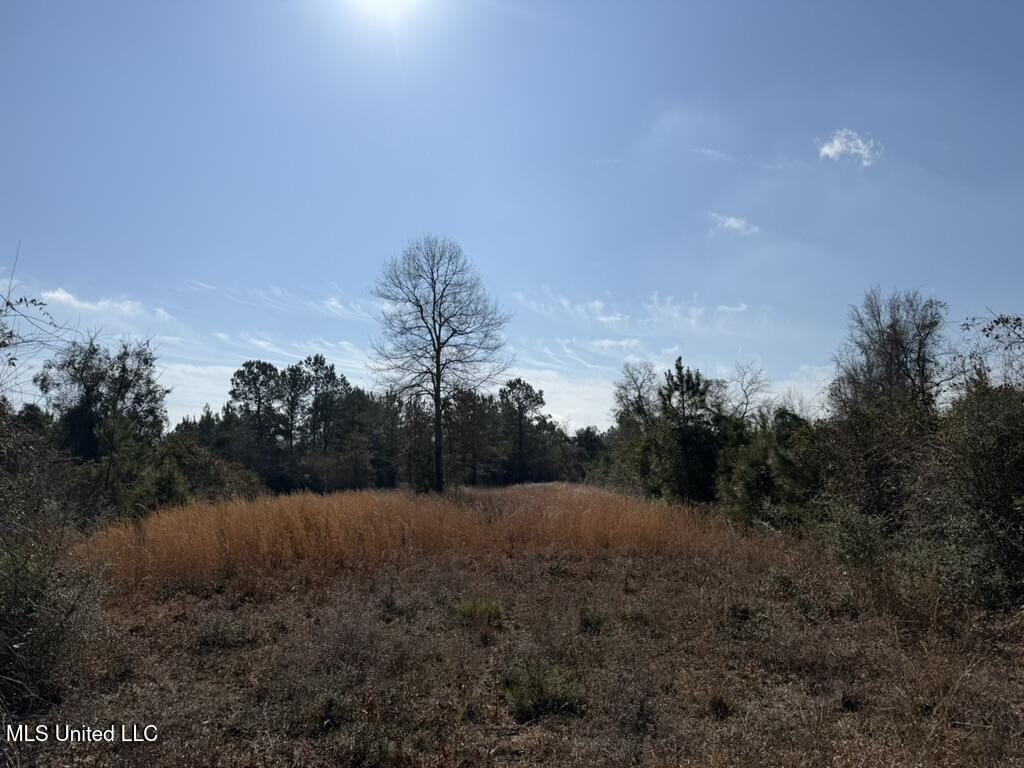 Johnson Road Sandy Hook, MS 39478 - Photo 25 of 28 048CC310-E7E2-4E54-85B4-D0E200D9FE7B_1_1