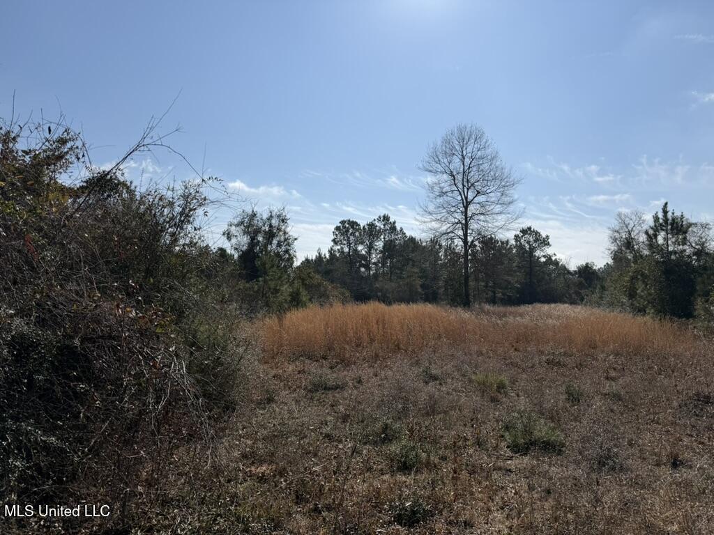 Johnson Road Sandy Hook, MS 39478 - Photo 26 of 28 E6A8B918-87BC-4F87-8E8C-B135FCA5F731_1_1