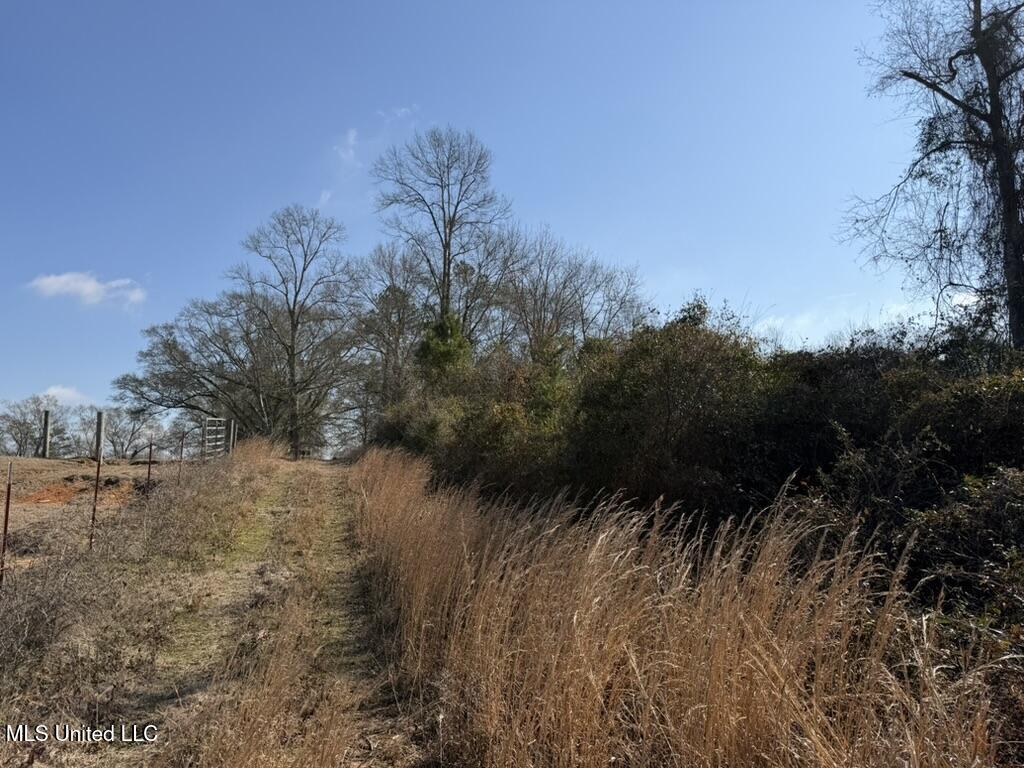 Johnson Road Sandy Hook, MS 39478 - Photo 27 of 28 F586A7C5-C048-4840-B531-19E8A89129EA_1_1
