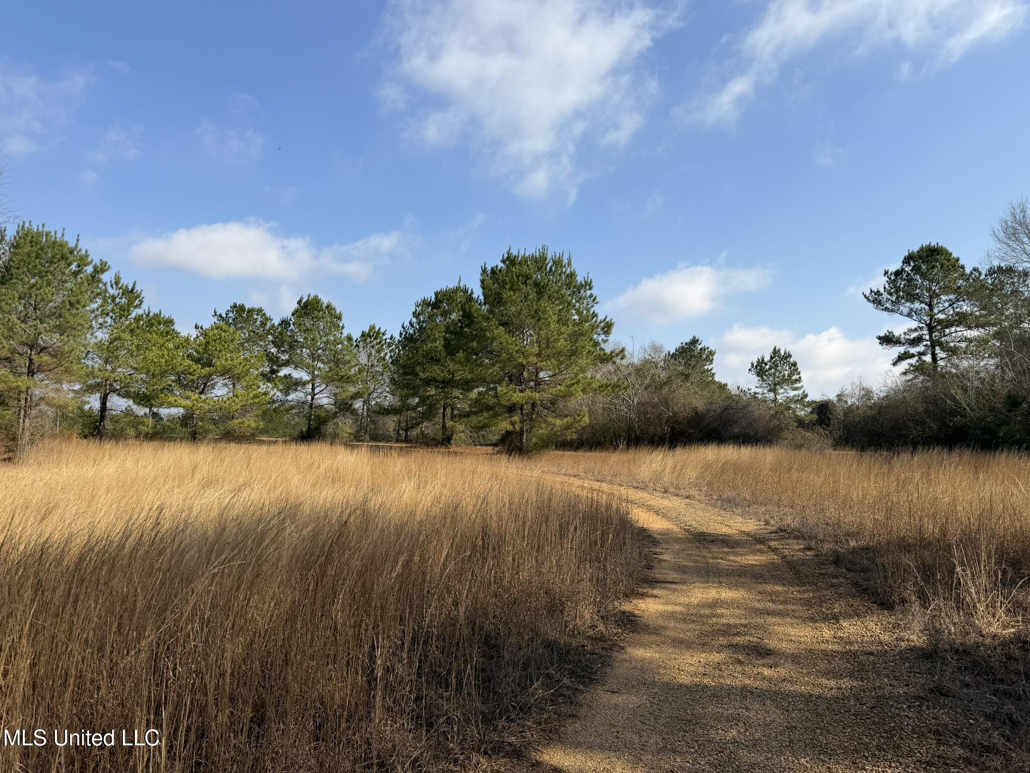 Johnson Road Sandy Hook, MS 39478 - Photo 3 of 28 b