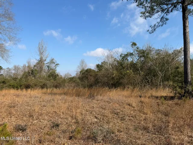 $144,300 | Johnson Road, Sandy Hook, MS 39478