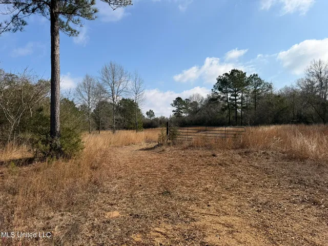 $144,300 | Johnson Road, Sandy Hook, MS 39478