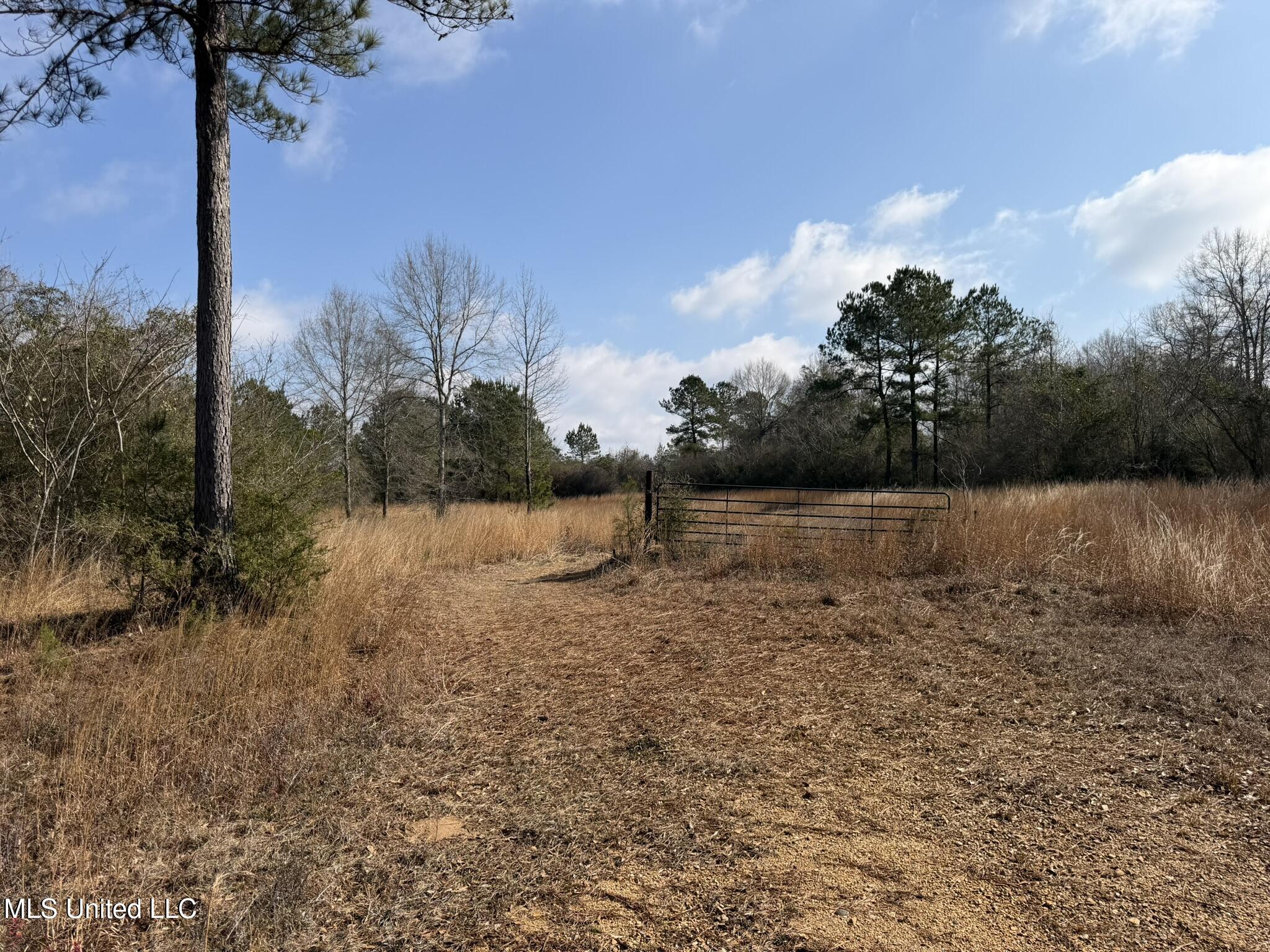 Johnson Road Sandy Hook, MS 39478 - Photo 5 of 28 D121E86E-2F5B-4E10-9DB7-8182610275E4_1_1