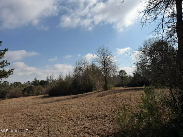 $144,300 | Johnson Road, Sandy Hook, MS 39478