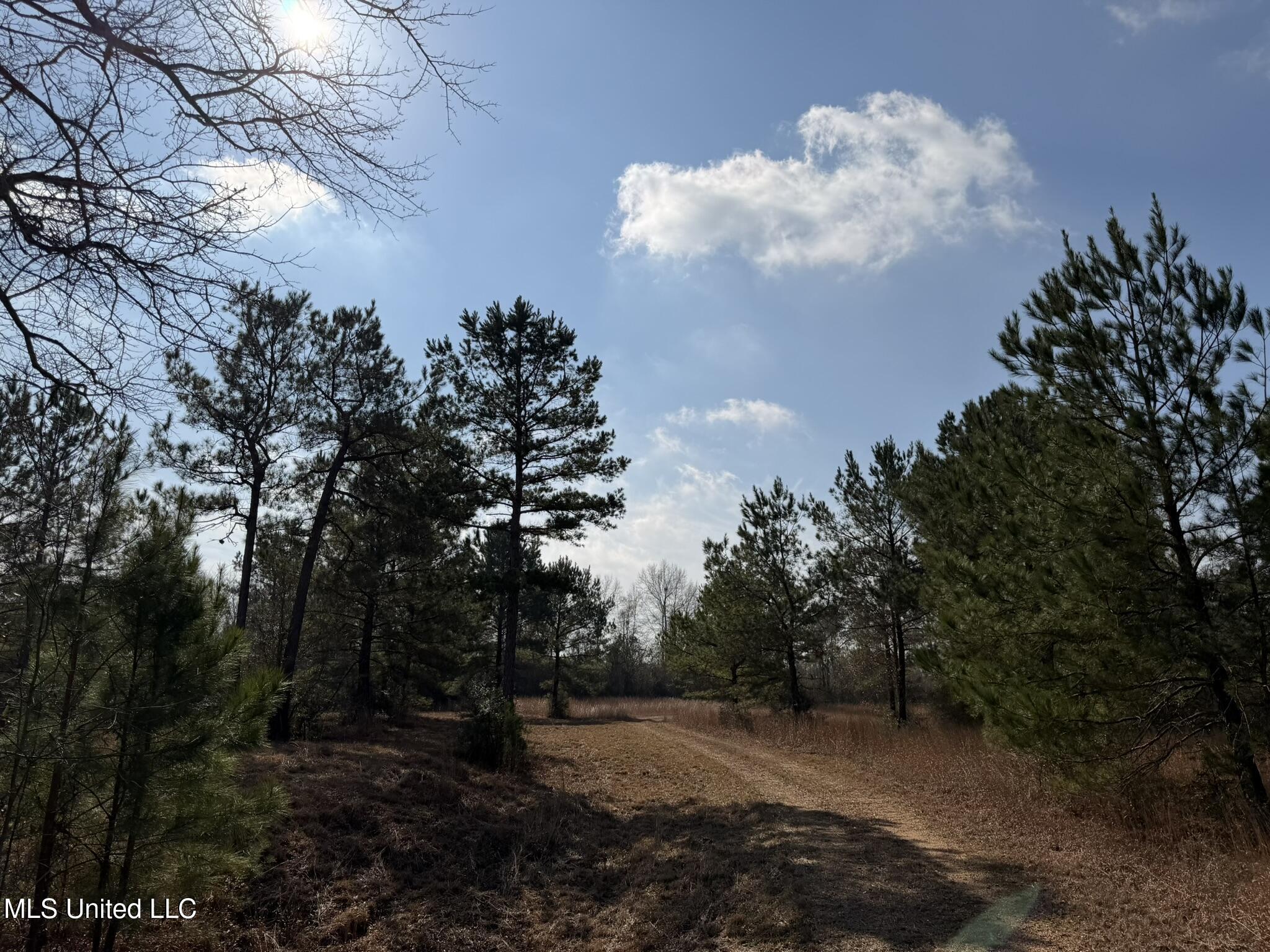 Johnson Road Sandy Hook, MS 39478 - Photo 7 of 28 C4CFE19A-AA4A-42C1-940E-81BAF5D0E355_1_1