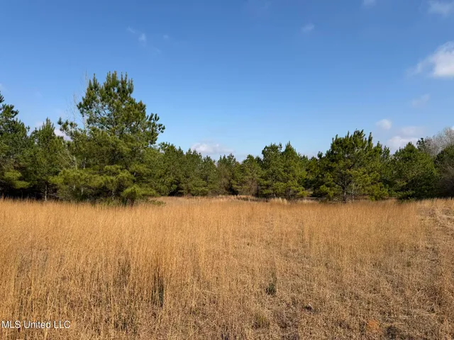$144,300 | Johnson Road, Sandy Hook, MS 39478