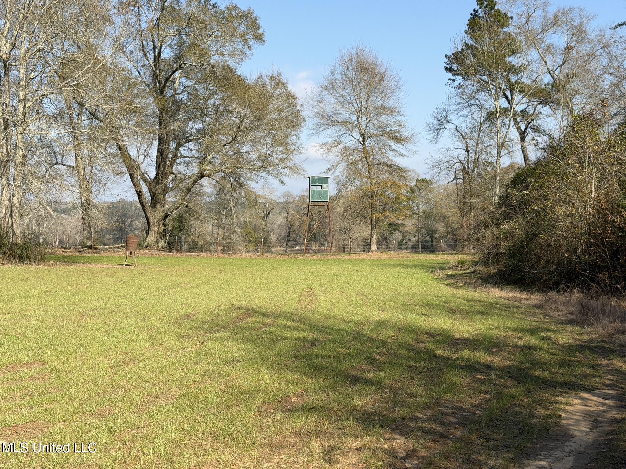 Johnson Road Sandy Hook, MS 39478 - Photo 10 of 28 7C775786-1CF0-4332-8146-7AAA4289914D_1_1