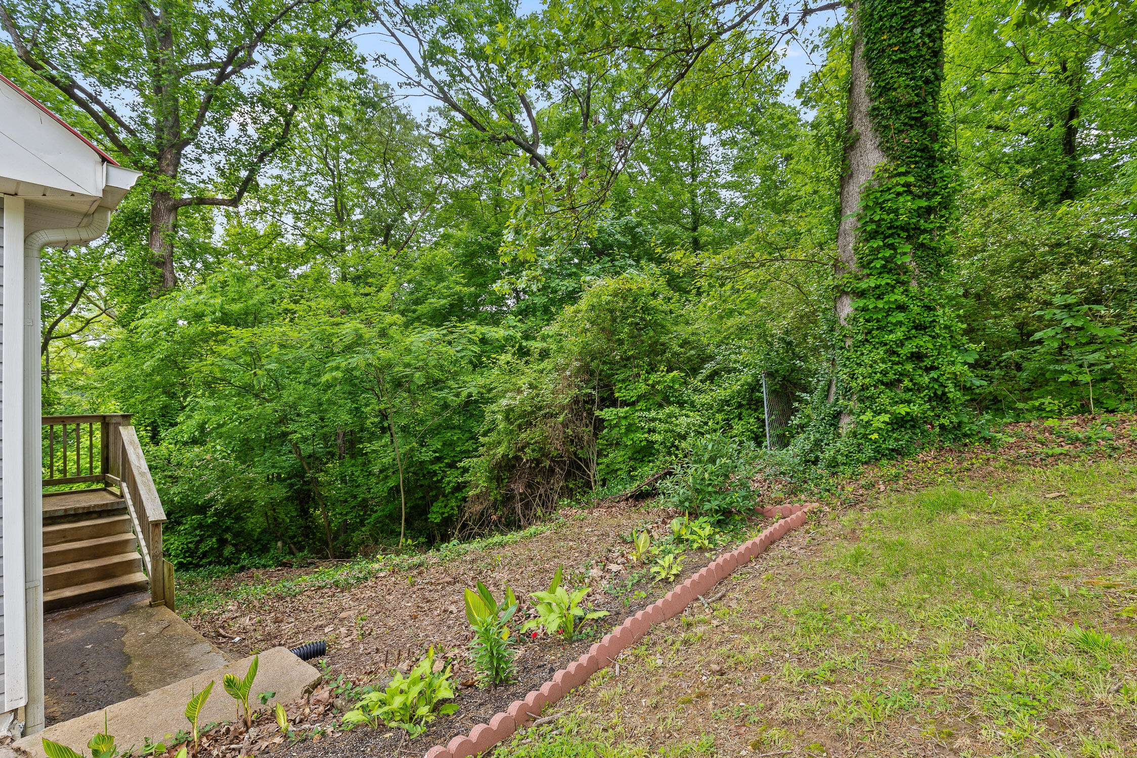 127 P'Poole Avenue Chattanooga, TN 37415 - Photo 17 of 23 View from front yard to side yard
