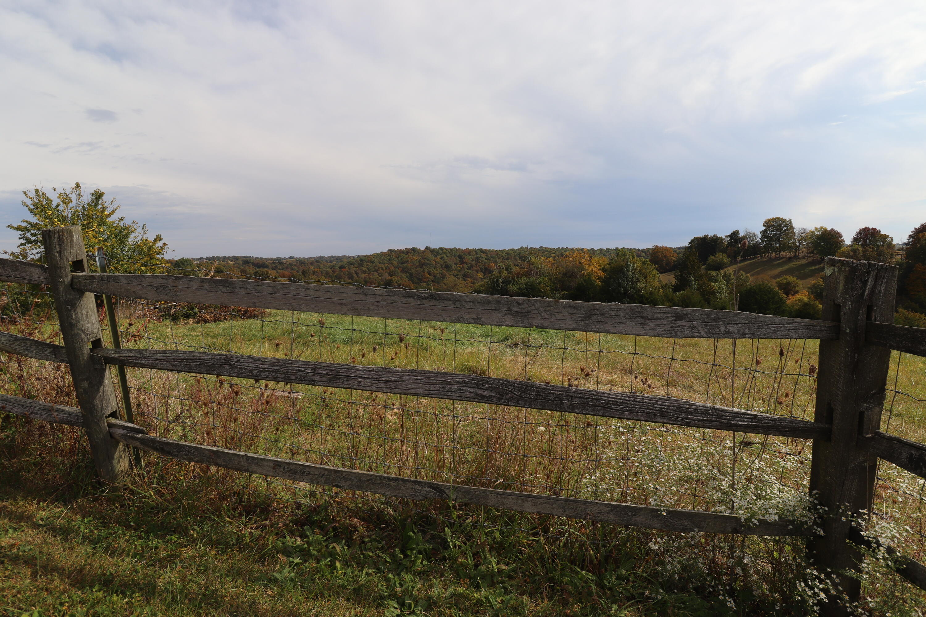 2233 Parina Road Brooksville, KY 41004 - Photo 33 of 50 Gallery Image 33