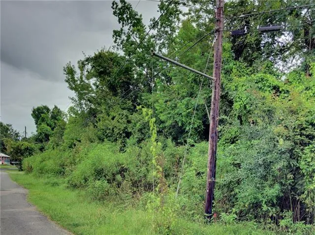 $25,000 | Lot 16 Camille Court, Lafitte, LA 70067