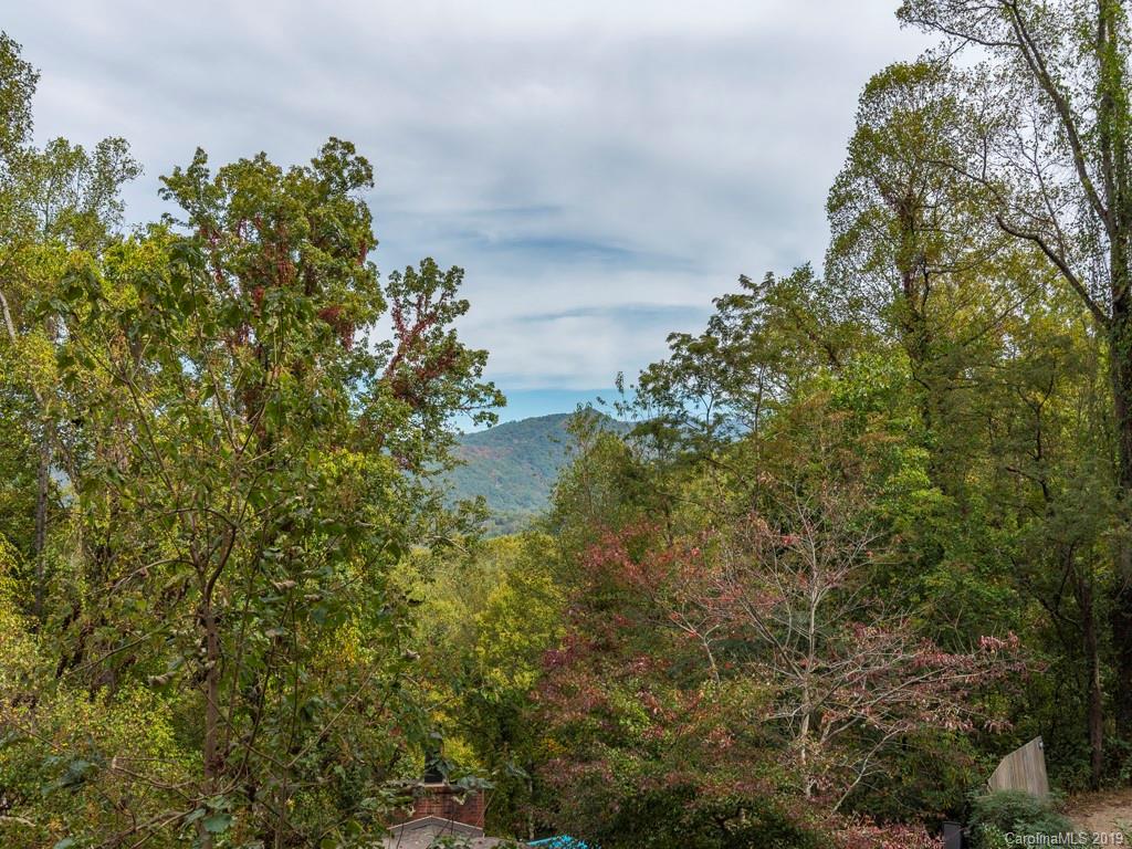8 Reuben Road Asheville, NC 28804 - Photo 18 of 20 Gallery Image 18