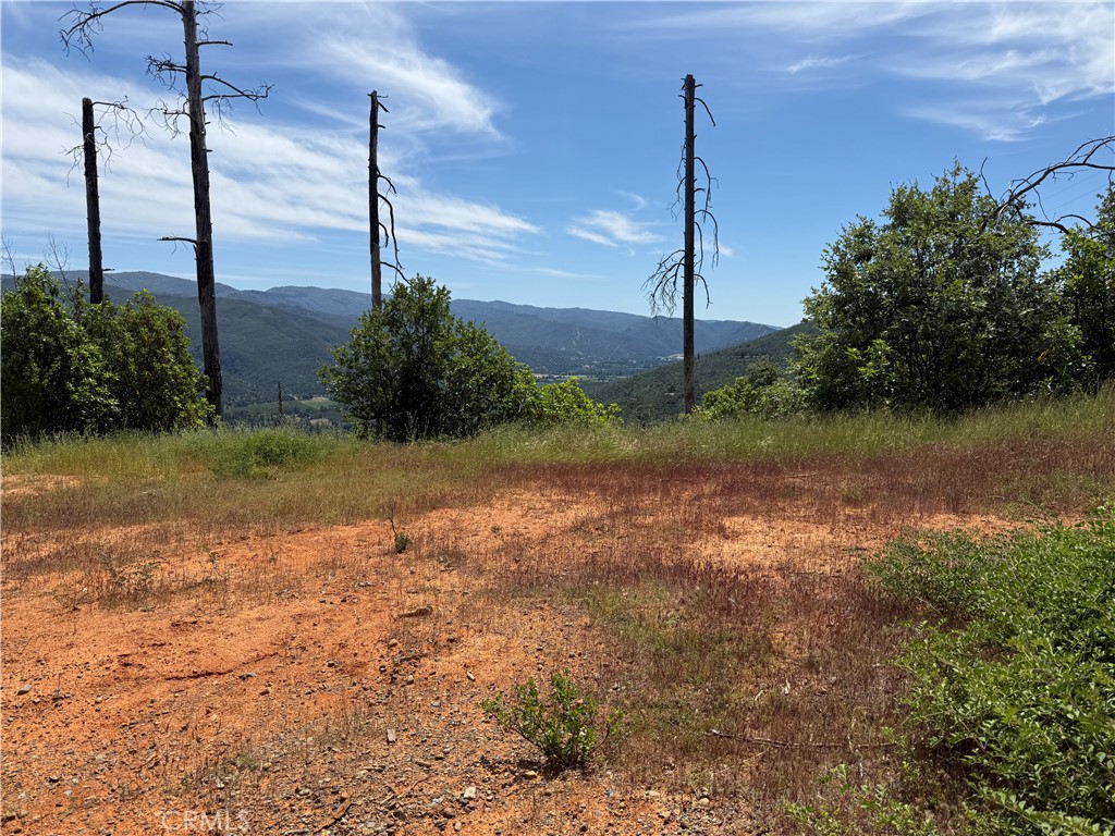 1833 Hunter Point Road Upper Lake, CA 95485 - Photo 20 of 20 a view of a garden