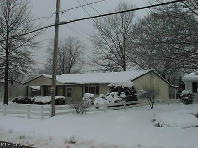 10311 Wentworth Road Mantua, OH 44255 - Photo 1 of 1