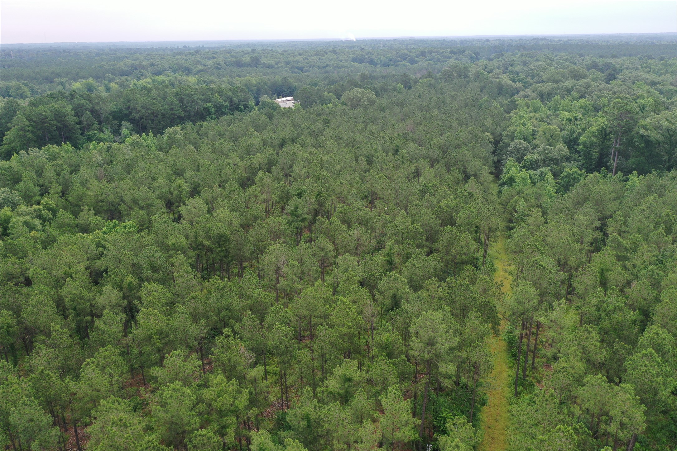 Tract 2-strickland Tract 2-strickland Fox Hunting Road Waskom, TX 75692 - Photo 3 of 8 a view of a lush green forest with trees and some houses