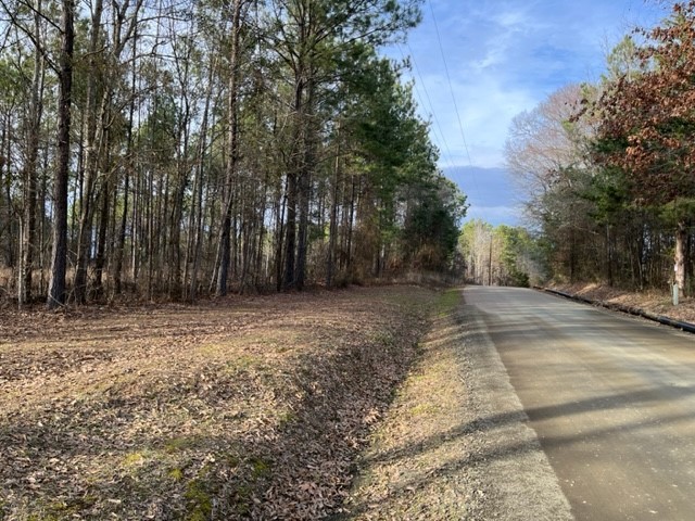 Tract 2-strickland Tract 2-strickland Fox Hunting Road Waskom, TX 75692 - Photo 4 of 8 a view of backyard with large trees