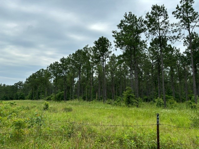 Tract 2-strickland Tract 2-strickland Fox Hunting Road Waskom, TX 75692 - Photo 5 of 8 a view of outdoor space and yard