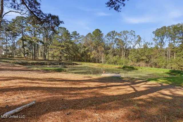 $410,000 | 2294 Simpson Highway 469, Florence, MS 39073