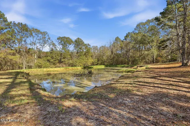 $410,000 | 2294 Simpson Highway 469, Florence, MS 39073