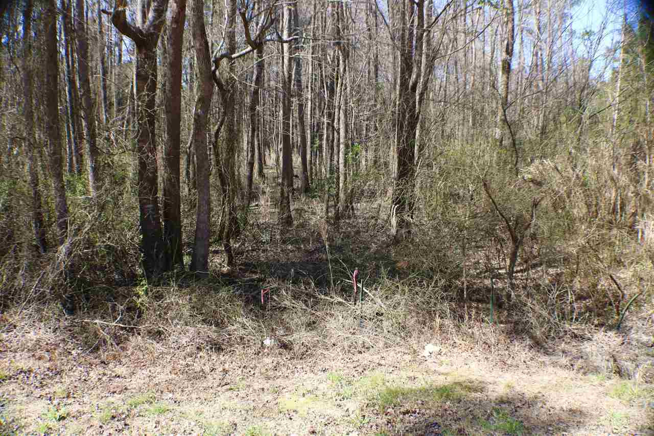 Thanksgiving Fire Road Selma, NC 27576 - Photo 10 of 16 WOODED AREA OF ACREAGE