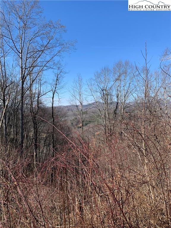 2 Clint Gilley Road Warrensville, NC 28693 - Photo 2 of 16 Gallery Image 2