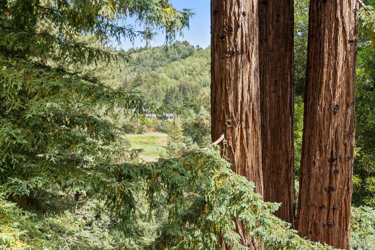 2 Bay Tree Lane Mill Valley, CA 94941 - Photo 1 of 1