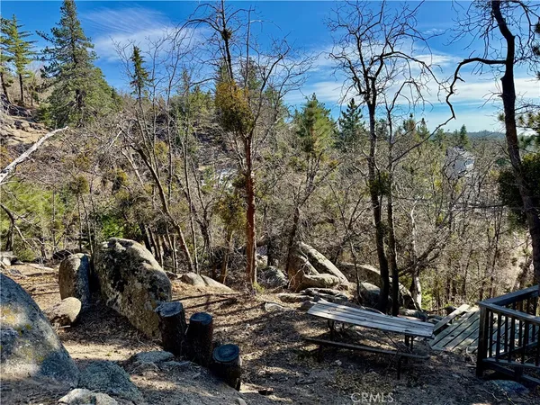 a view of a park with large trees