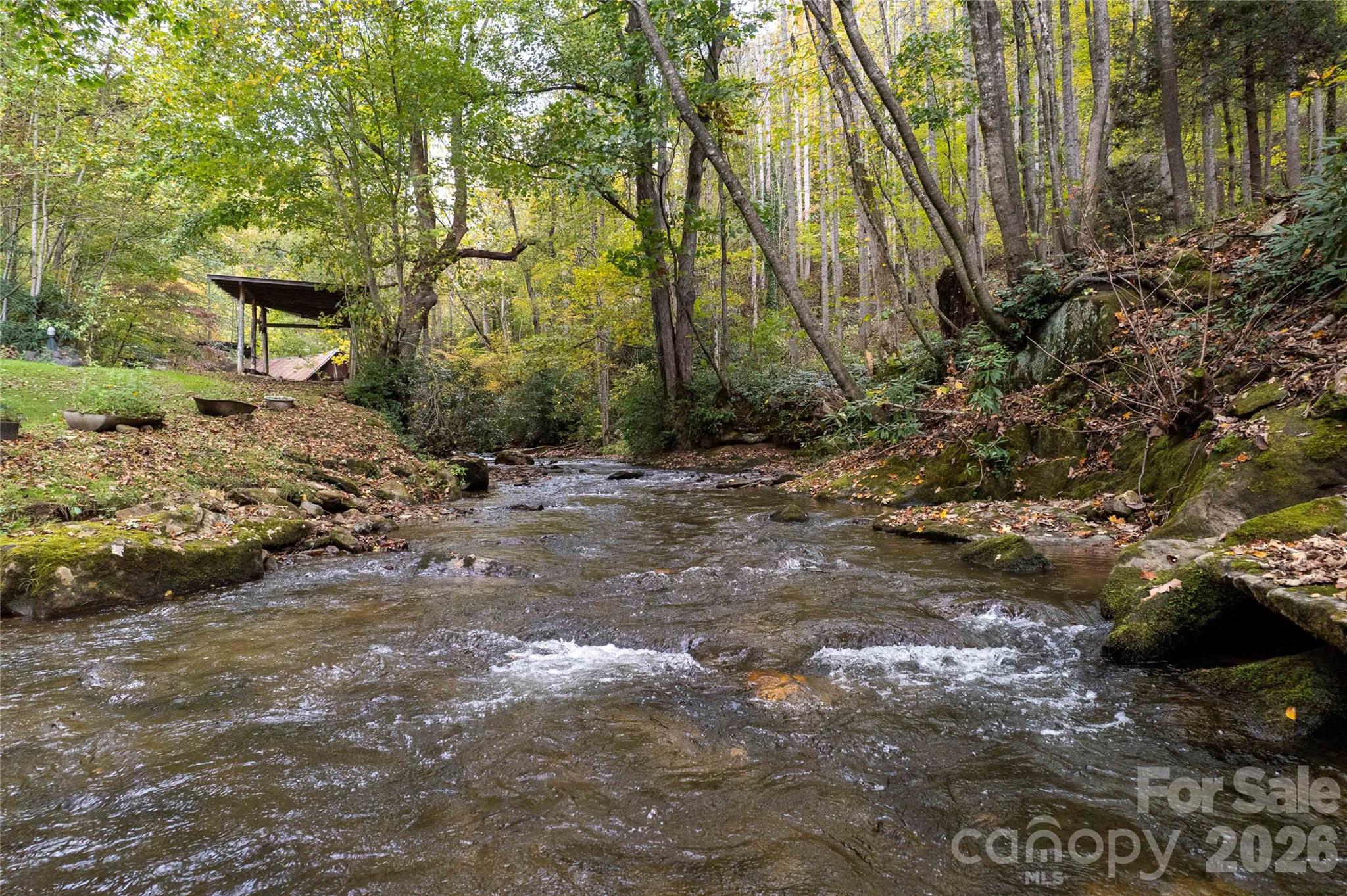 214 Chin Tree Road Sylva, NC 28779 - Photo 30 of 37