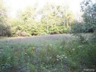 6830 Chambers Road Millington, MI 48746 - Photo 25 of 25 property- great hunting (7)