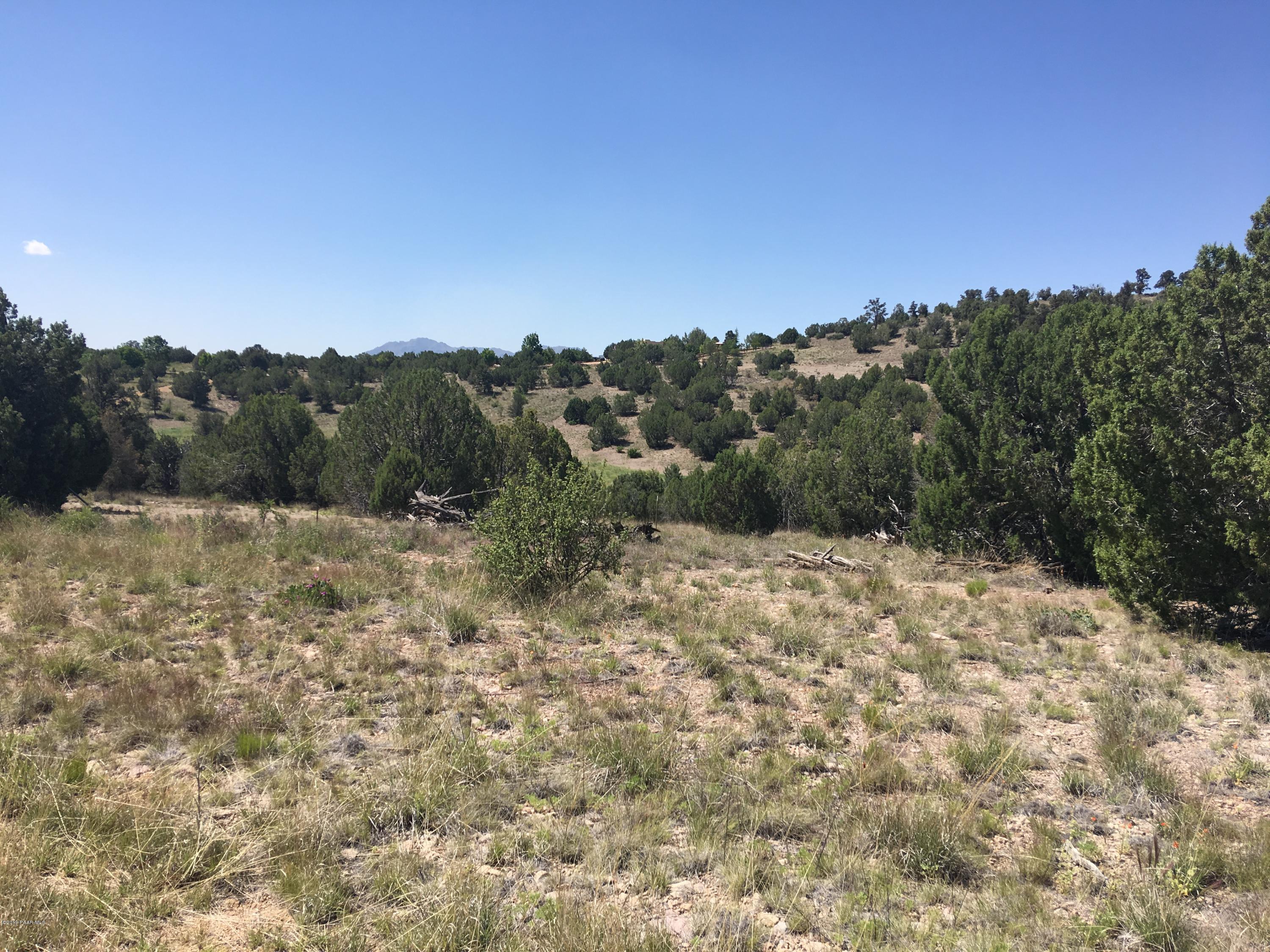 0 West Rambling Road Prescott, AZ 86305 - Photo 13 of 18 a view of a dry yard with trees in the background