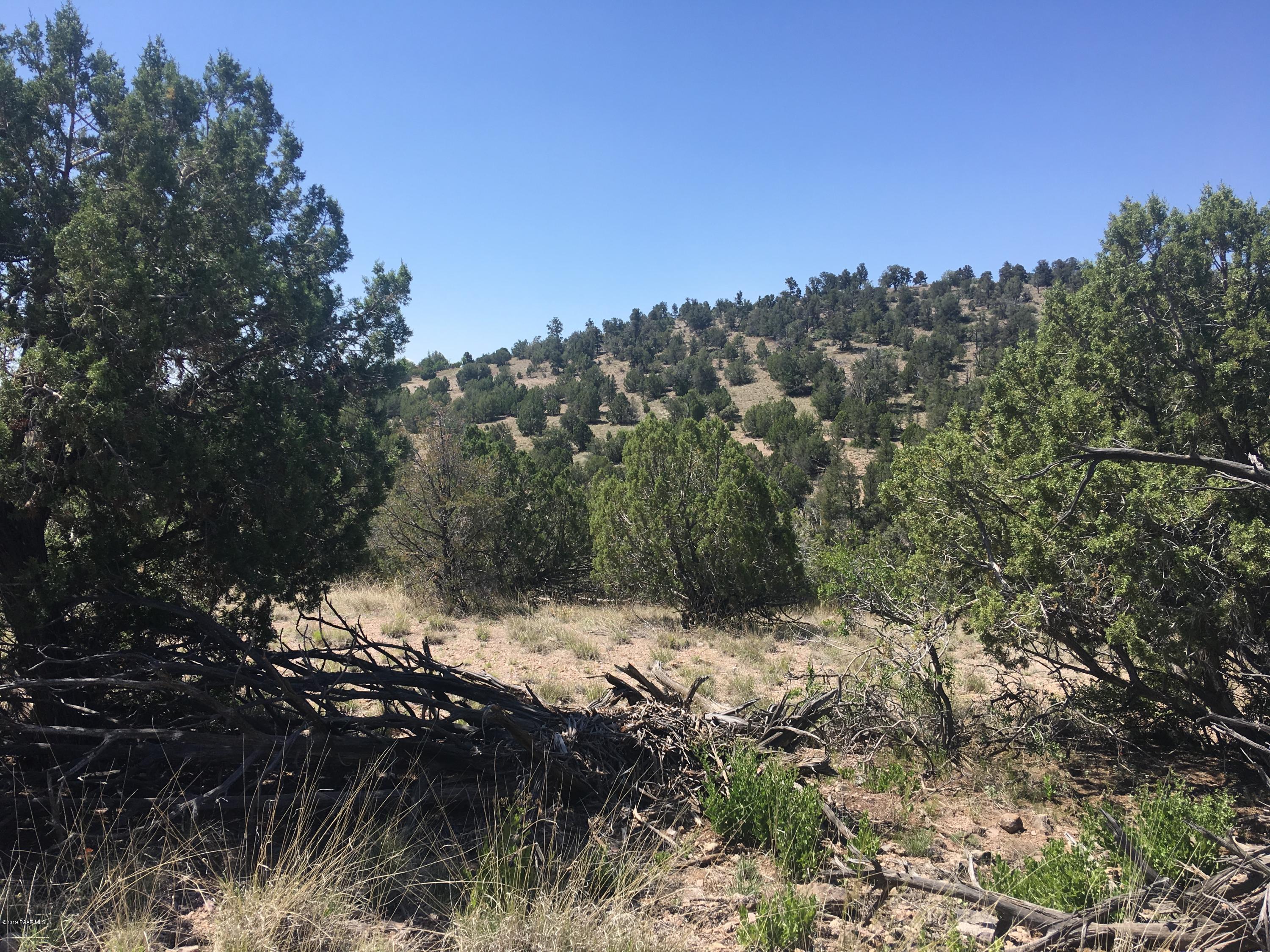 0 West Rambling Road Prescott, AZ 86305 - Photo 16 of 18 a view of a forest of trees