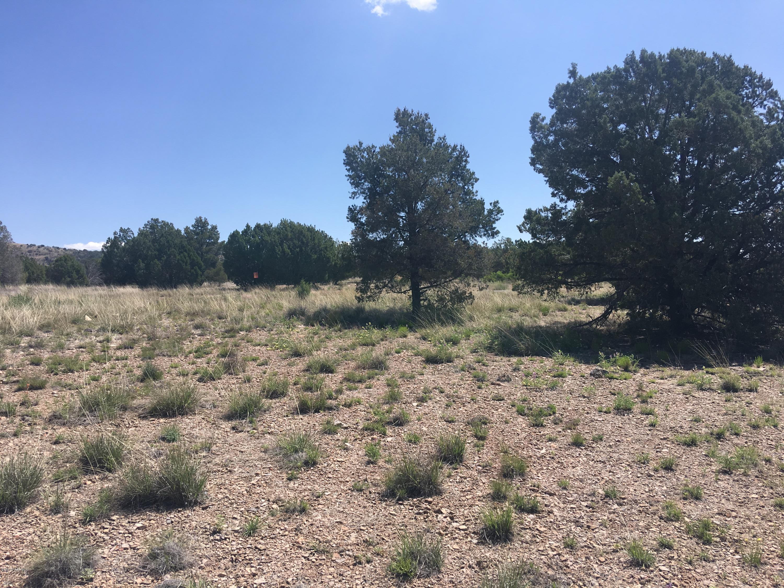 0 West Rambling Road Prescott, AZ 86305 - Photo 5 of 18 a view of a field with trees in the background
