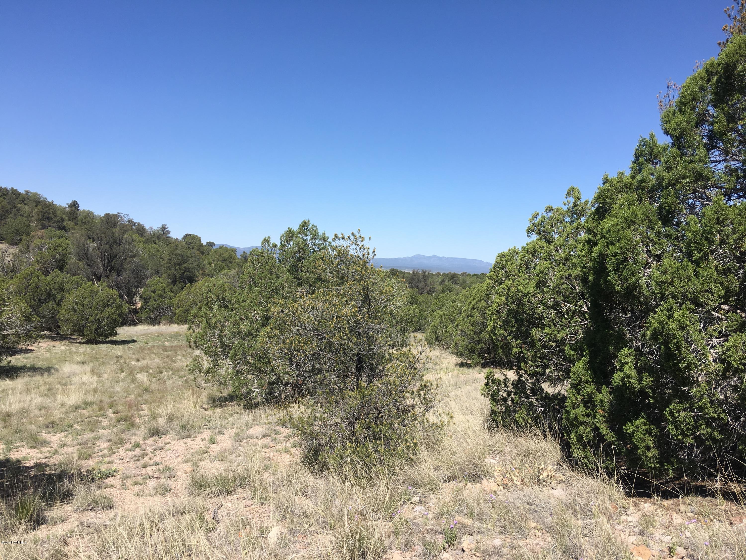 0 West Rambling Road Prescott, AZ 86305 - Photo 6 of 18 a view of a yard with a tree
