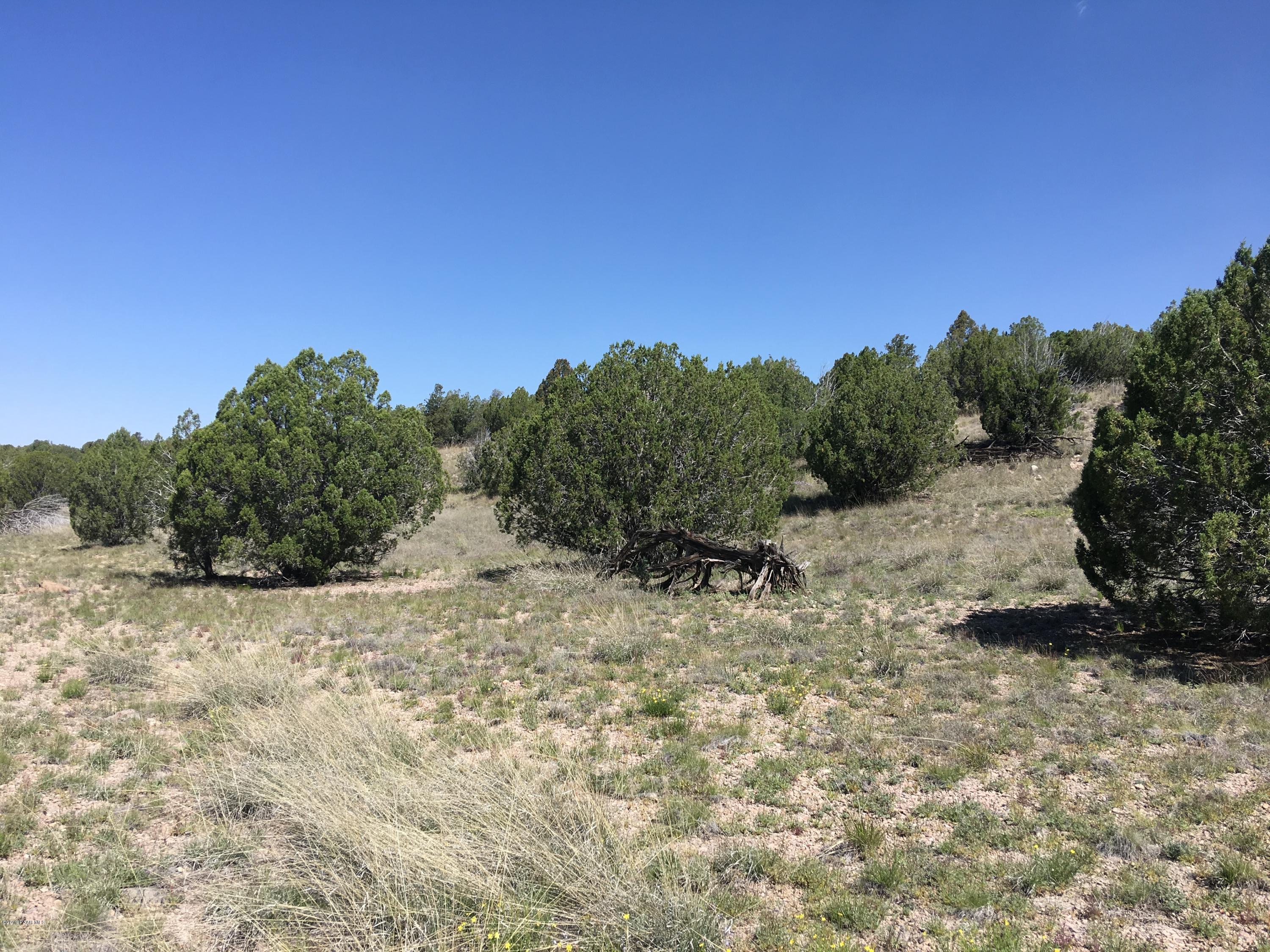 0 West Rambling Road Prescott, AZ 86305 - Photo 9 of 18 a view of a dry yard with trees