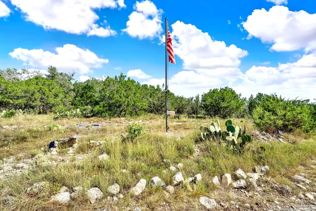 a view of a big yard with lots of green space