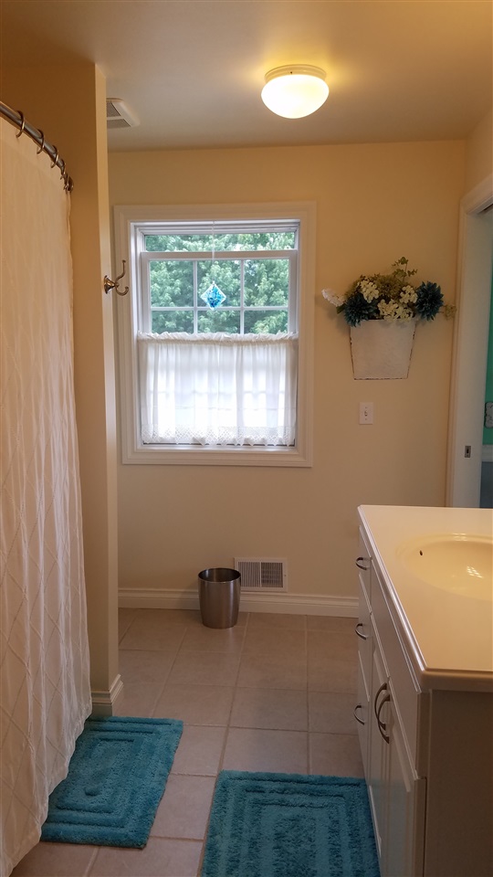 6352 Ditch Road Chesaning, MI 48616 - Photo 38 of 60