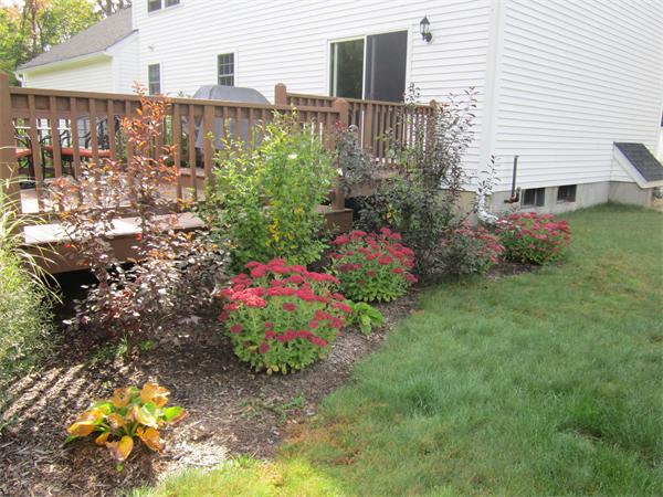 65 Carruth Road Templeton, MA 01468 - Photo 8 of 19 a view of a garden with plants and flowers