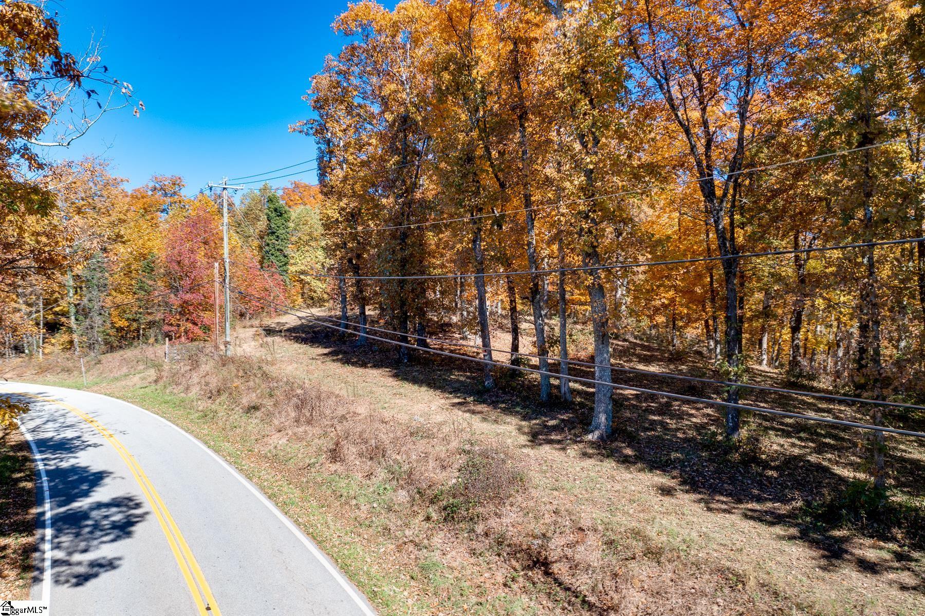 1100 Altamont Road Greenville, SC 29609 - Photo 1 of 16