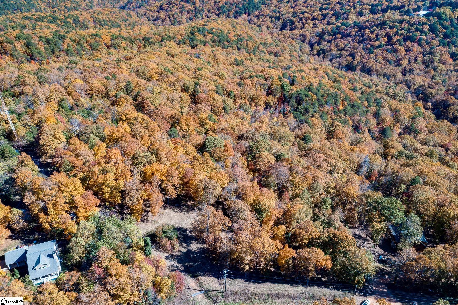 1100 Altamont Road Greenville, SC 29609 - Photo 5 of 16