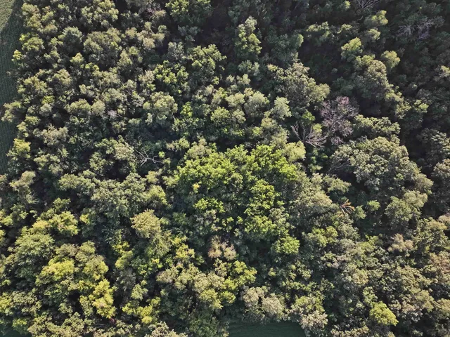 $3,637,260 | 220.4 M/l Acres Highway 78, Mt Horeb, WI 53572