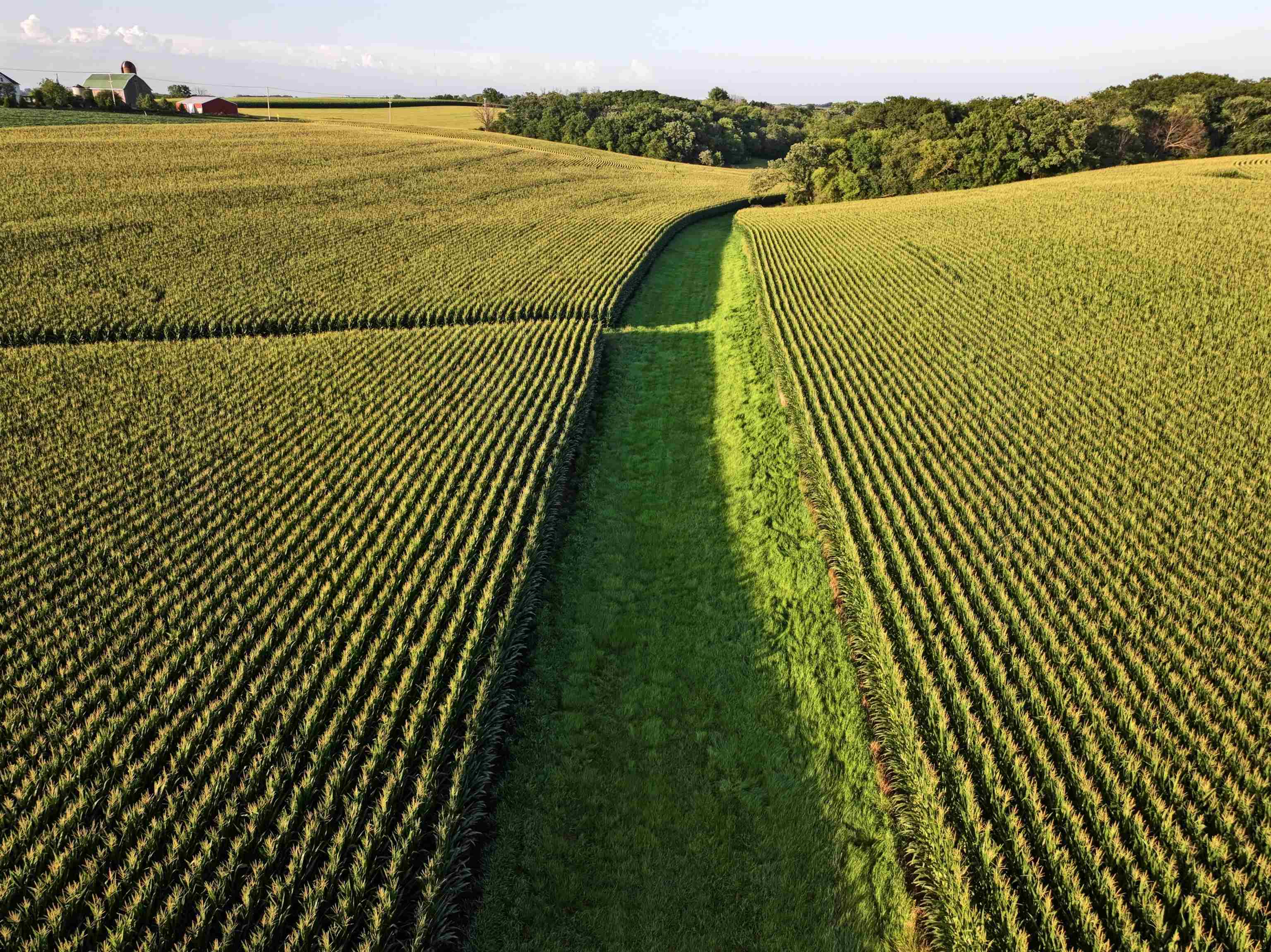 220.4 M/l Acres Highway Mount Horeb, WI 53572 - Photo 16 of 24