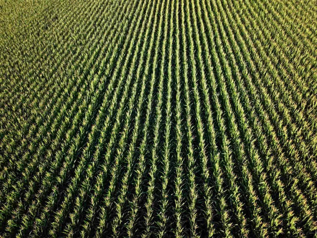 $3,637,260 | 220.4 M/l Acres Highway 78, Mt Horeb, WI 53572