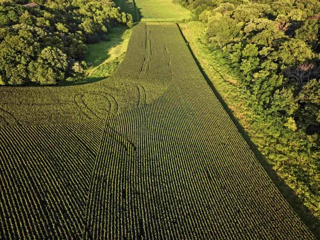 $3,637,260 | 220.4 M/l Acres Highway 78, Mt Horeb, WI 53572