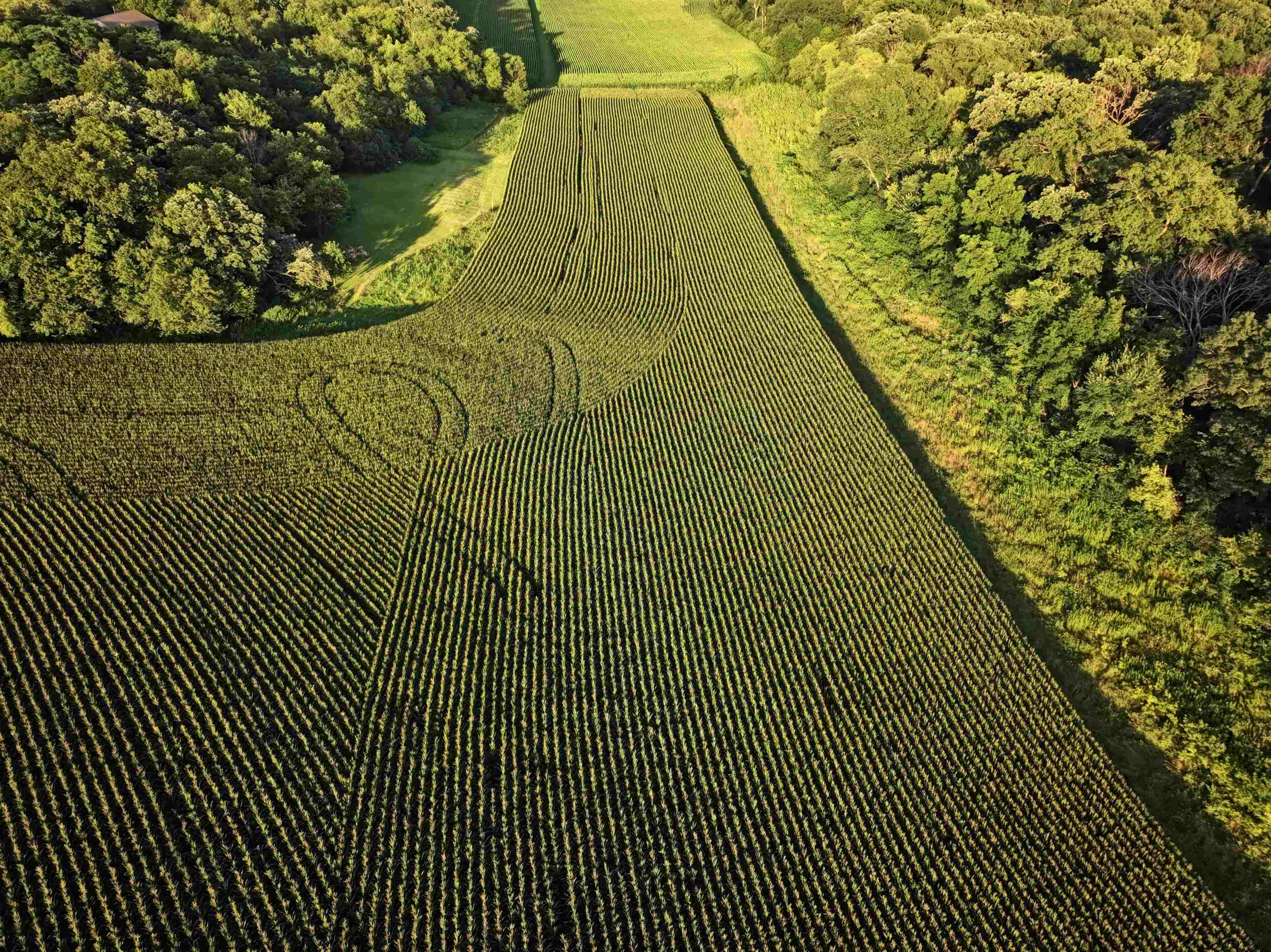 220.4 M/l Acres Highway Mount Horeb, WI 53572 - Photo 21 of 24