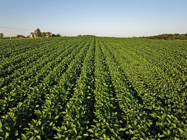 $3,637,260 | 220.4 M/l Acres Highway 78, Mt Horeb, WI 53572