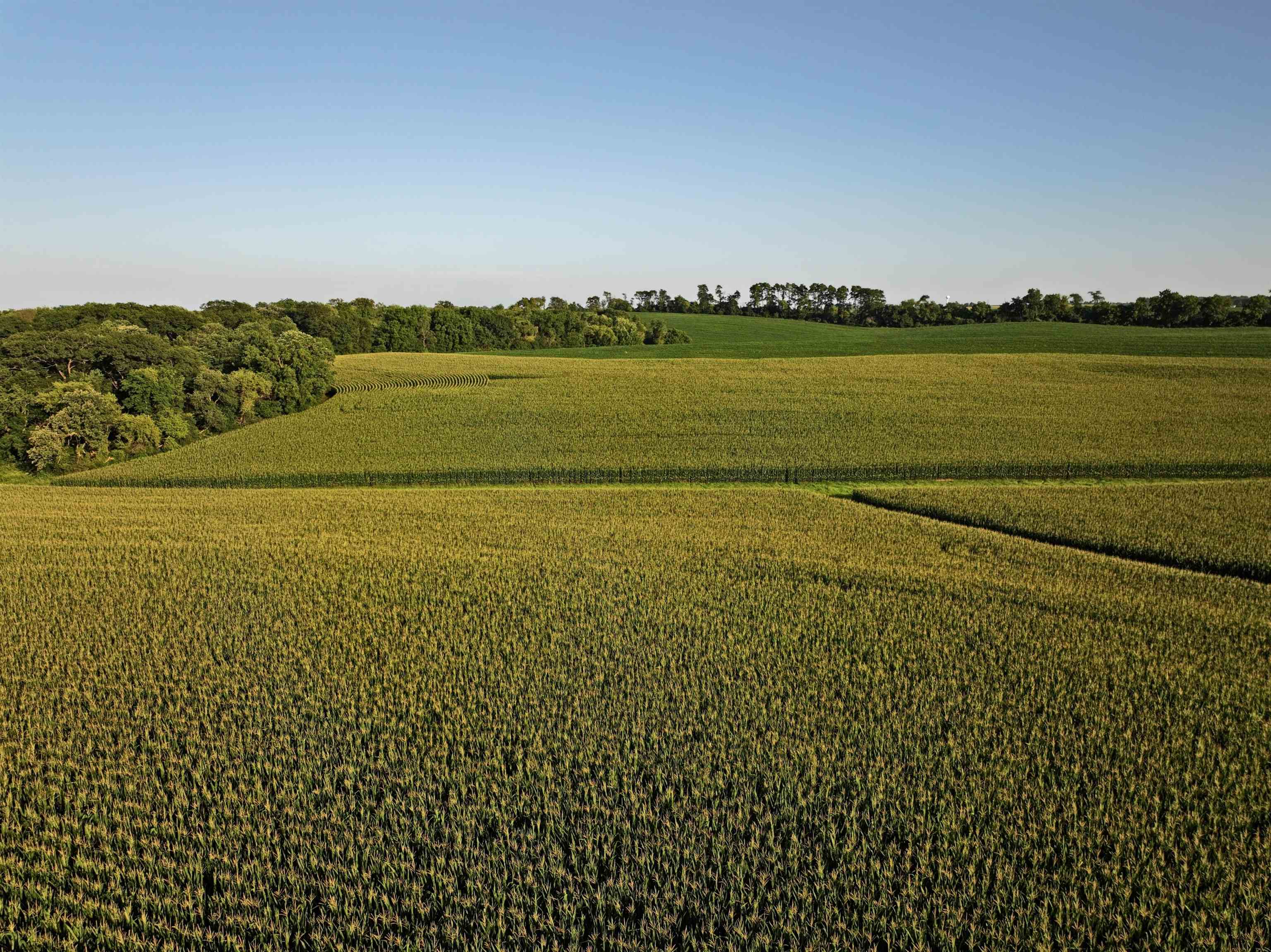 220.4 M/l Acres Highway Mount Horeb, WI 53572 - Photo 5 of 24